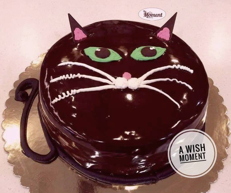 Cat Custom Birthday Cake